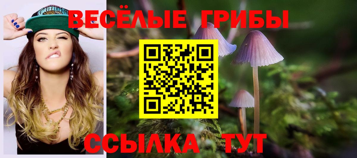 Псилоцибиновые грибы Psilocybe Элиста